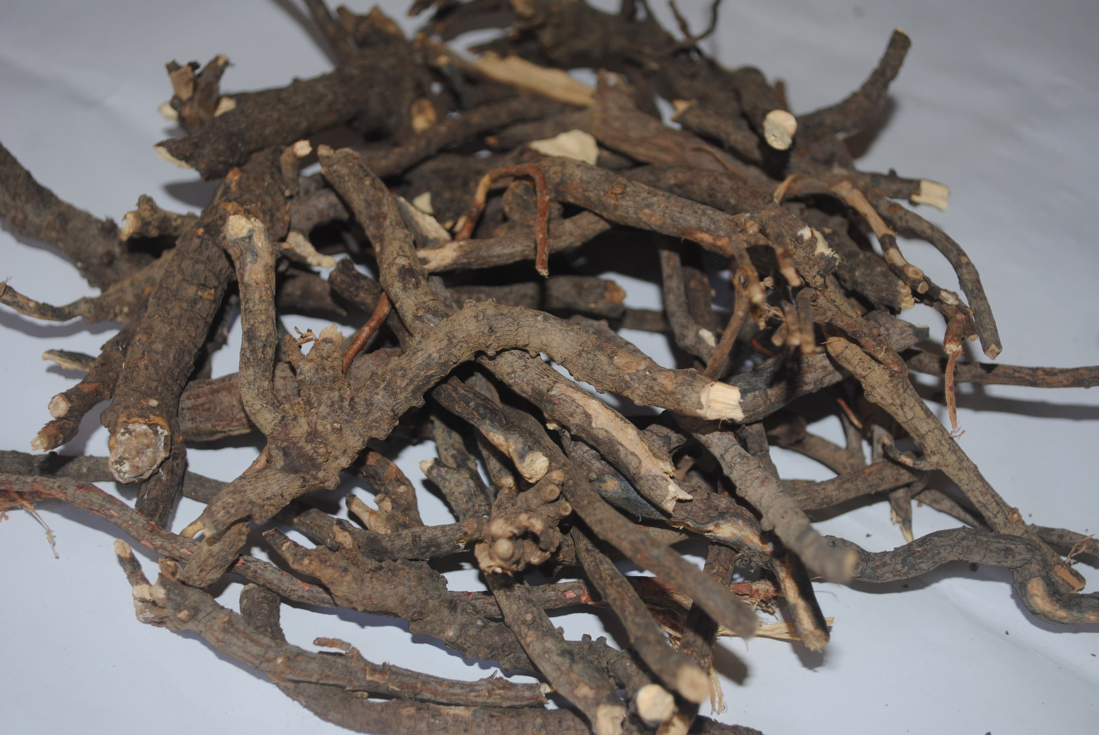 Fadogia agrestis (black aphrodisiac) dried roots